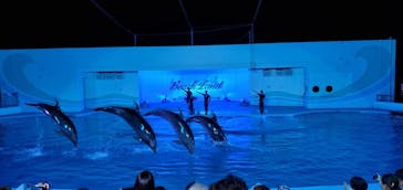 南知多ビーチランド＆南知多おもちゃ王国に投稿された画像（2021/8/9）