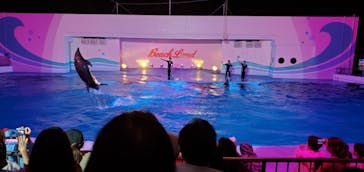 南知多ビーチランド＆南知多おもちゃ王国に投稿された画像（2021/8/9）