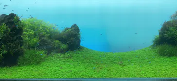 すみだ水族館に投稿された画像（2021/8/9）