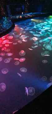 すみだ水族館に投稿された画像（2021/8/9）