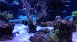 すみだ水族館に投稿された画像（2021/8/10）