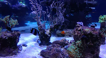 すみだ水族館に投稿された画像（2021/8/9）