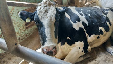 成田ゆめ牧場に投稿された画像（2021/8/9）