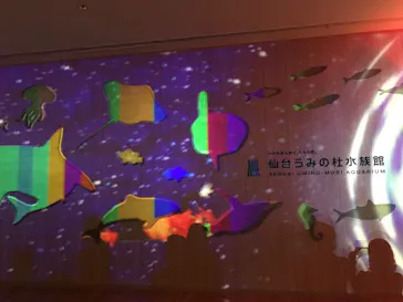 仙台うみの杜水族館に投稿された画像（2021/8/9）