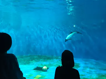 仙台うみの杜水族館に投稿された画像（2021/8/9）
