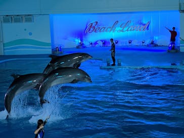 南知多ビーチランド＆南知多おもちゃ王国に投稿された画像（2021/8/9）