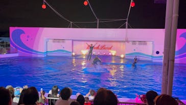 南知多ビーチランド＆南知多おもちゃ王国に投稿された画像（2021/8/9）