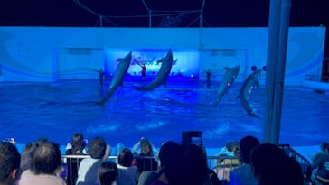 南知多ビーチランド＆南知多おもちゃ王国に投稿された画像（2021/8/9）