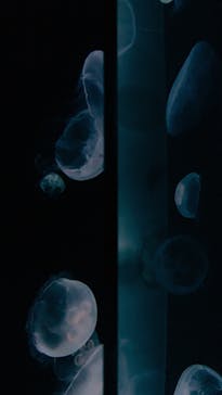 サンシャイン水族館に投稿された画像（2021/8/9）