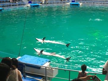 マクセル アクアパーク品川に投稿された画像（2021/8/9）