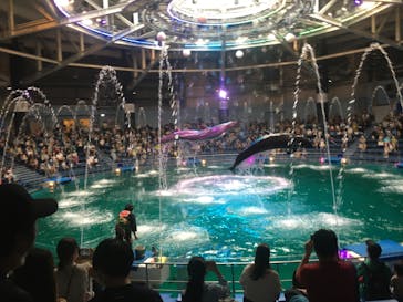 マクセル アクアパーク品川に投稿された画像（2021/8/9）