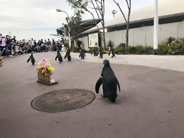 横浜・八景島シーパラダイスに投稿された画像（2021/8/10）
