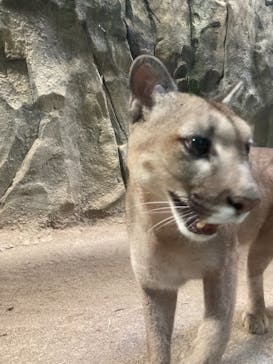 神戸どうぶつ王国に投稿された画像（2021/8/10）