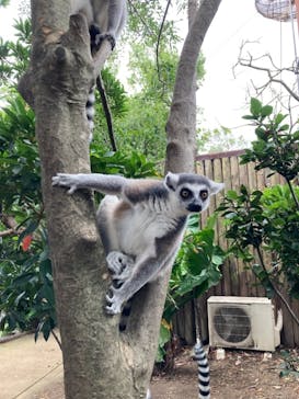 神戸どうぶつ王国に投稿された画像（2021/8/10）