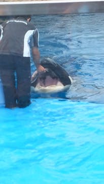 名古屋港水族館に投稿された画像（2021/8/10）