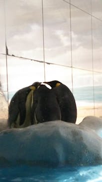 名古屋港水族館に投稿された画像（2021/8/10）