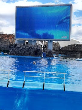 名古屋港水族館に投稿された画像（2021/8/10）