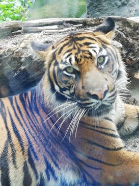 神戸どうぶつ王国に投稿された画像（2021/8/10）