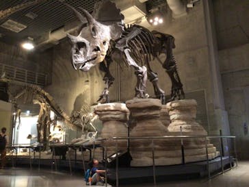 国立科学博物館に投稿された画像（2021/8/10）