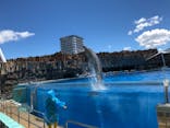 名古屋港水族館に投稿された画像（2021/8/10）