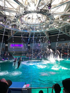 マクセル アクアパーク品川に投稿された画像（2021/8/10）