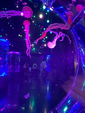 マクセル アクアパーク品川に投稿された画像（2021/8/10）