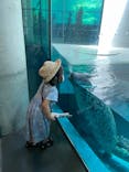 大分マリーンパレス水族館 「うみたまご」に投稿された画像（2021/8/10）