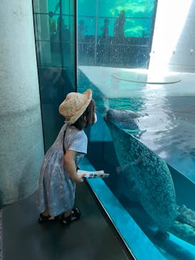 大分マリーンパレス水族館 「うみたまご」に投稿された画像（2021/8/10）