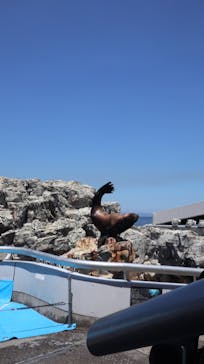 大分マリーンパレス水族館 「うみたまご」に投稿された画像（2021/8/10）