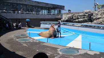 大分マリーンパレス水族館 「うみたまご」に投稿された画像（2021/8/10）