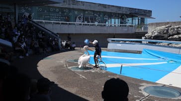大分マリーンパレス水族館 「うみたまご」に投稿された画像（2021/8/10）