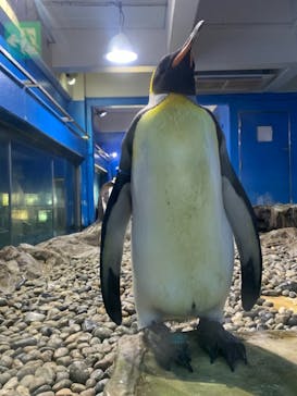 南知多ビーチランド＆南知多おもちゃ王国に投稿された画像（2021/8/10）