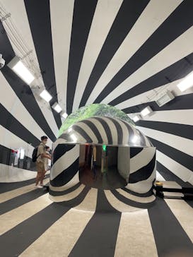 清津峡渓谷トンネルに投稿された画像（2021/8/10）