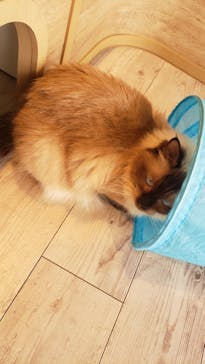 カワスイ 川崎⽔族館に投稿された画像（2021/8/10）