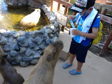 横浜・八景島シーパラダイスに投稿された画像（2021/8/10）