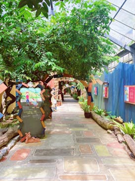 OKINAWAフルーツらんどに投稿された画像（2021/8/10）