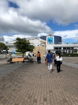 名古屋港水族館に投稿された画像（2021/8/10）