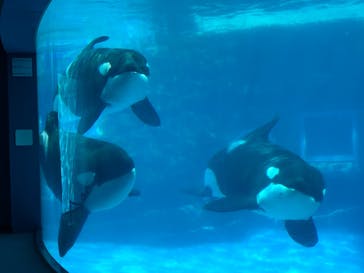 名古屋港水族館に投稿された画像（2021/8/10）