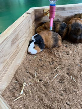 長崎バイオパークに投稿された画像（2021/8/10）