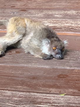 長崎バイオパークに投稿された画像（2021/8/10）