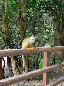 長崎バイオパークに投稿された画像（2021/8/10）