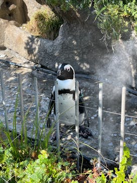 サンシャイン水族館に投稿された画像（2021/8/10）