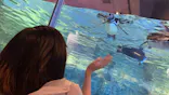 すみだ水族館に投稿された画像（2021/8/10）