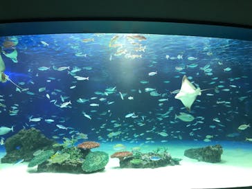 サンシャイン水族館に投稿された画像（2021/8/10）