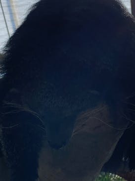 神戸どうぶつ王国に投稿された画像（2021/8/10）