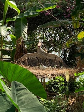 神戸どうぶつ王国に投稿された画像（2021/8/10）