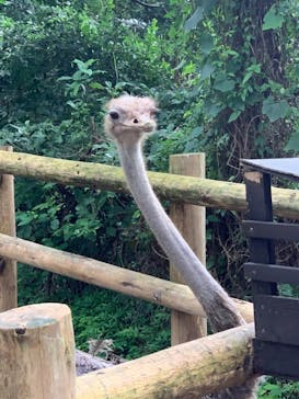 長崎バイオパークに投稿された画像（2021/8/10）