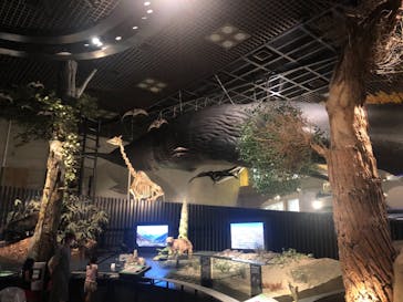 国立科学博物館に投稿された画像（2021/8/10）
