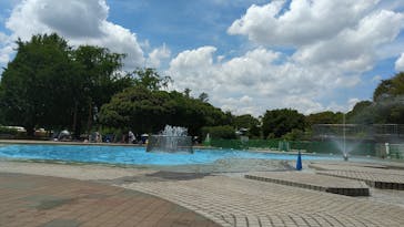 国営昭和記念公園 秋の夜散歩に投稿された画像（2021/8/10）