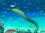 サンシャイン水族館に投稿された画像（2021/8/10）